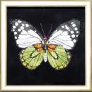Бабочка Капустница, 12х12 см, 110 кристаллов